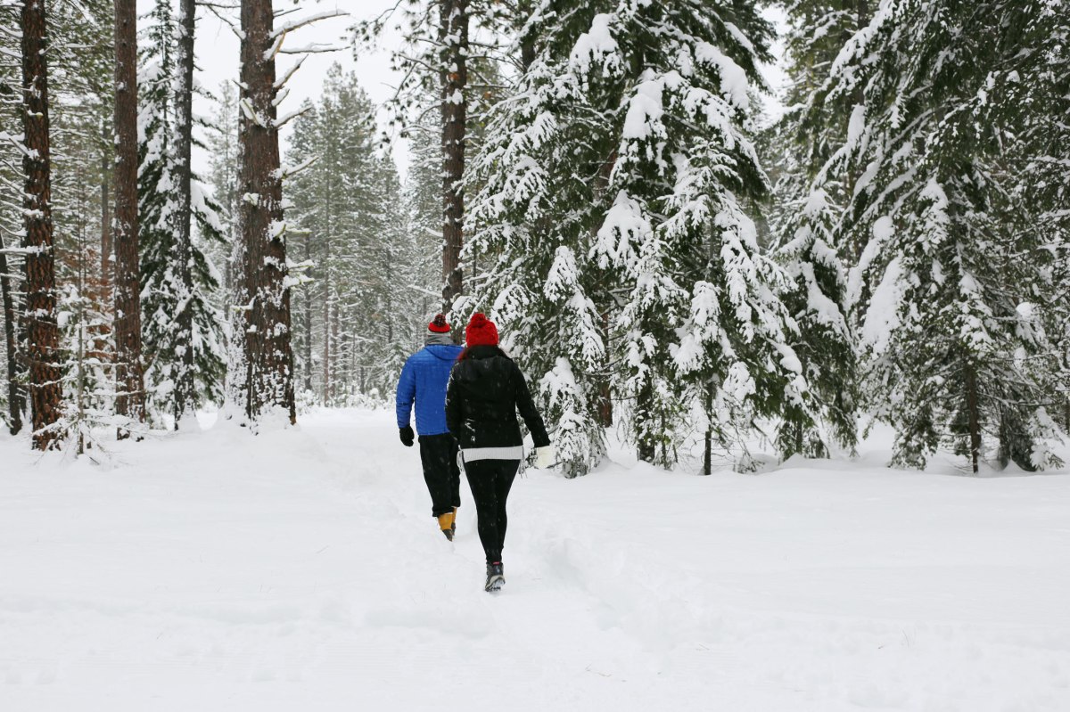 Lakeview Retreat Leavenworth, AirBnB, PNW, Lake Wenatchee
