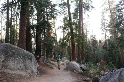 Taft Point, Glacier Point, Yosemite, CA