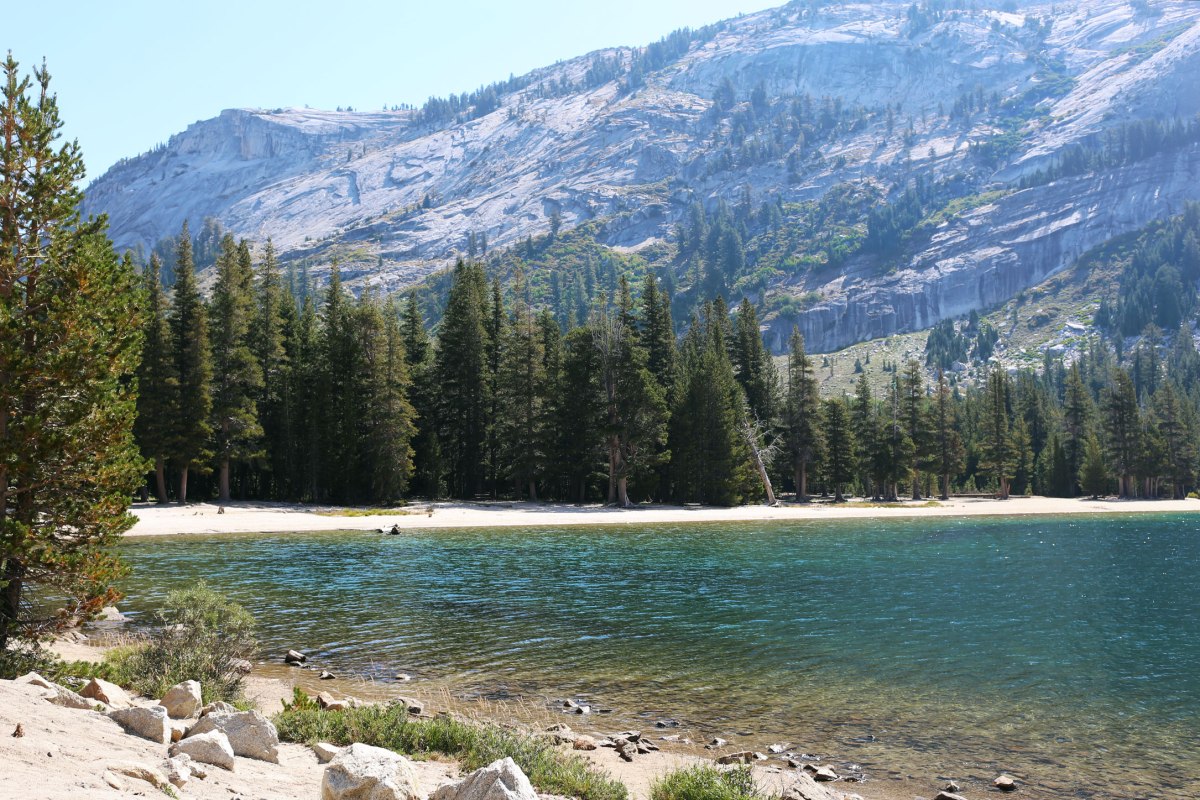 Yosemite National Park, CA