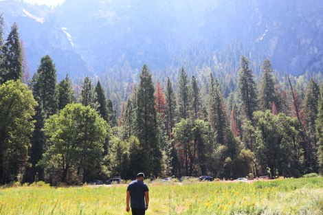 Yosemite National Park, CA