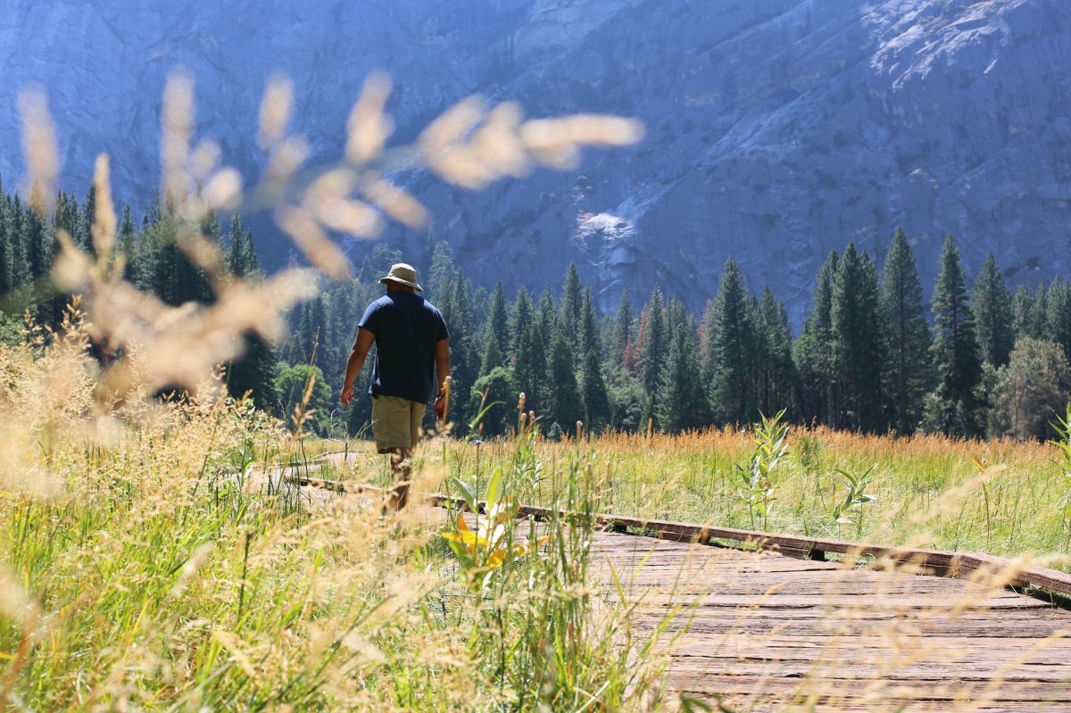 Yosemite, WildestCAroadtrip