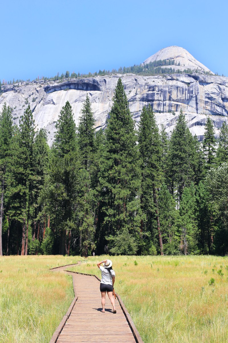 Yosemite, WildestCAroadtrip