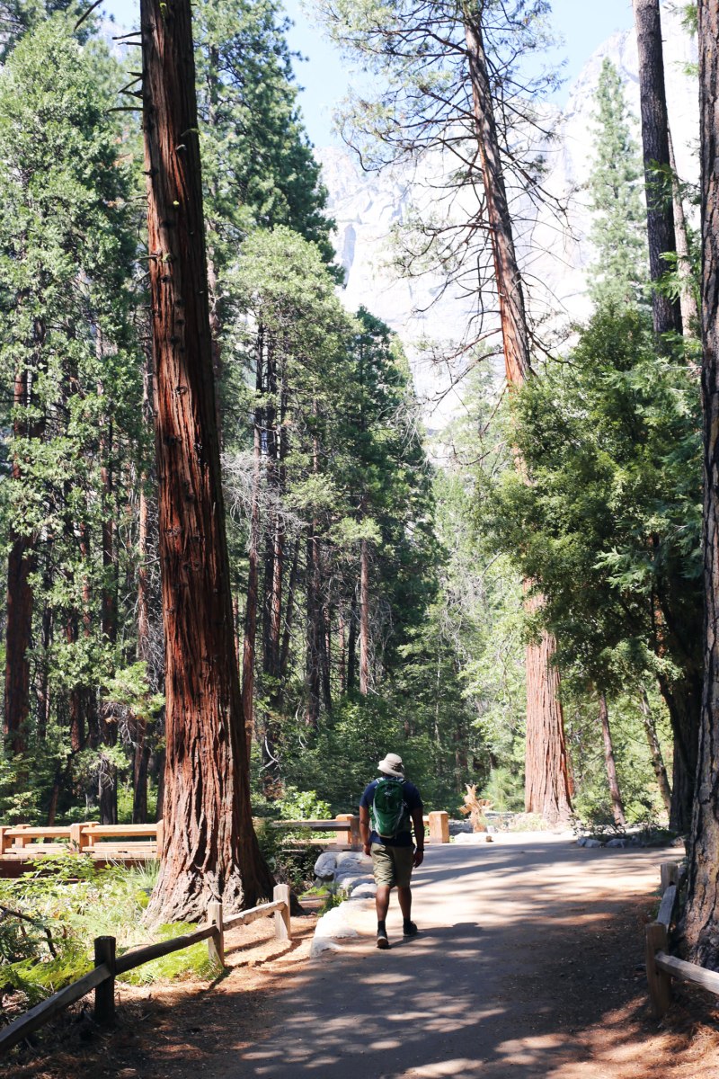 Yosemite, WildestCAroadtrip