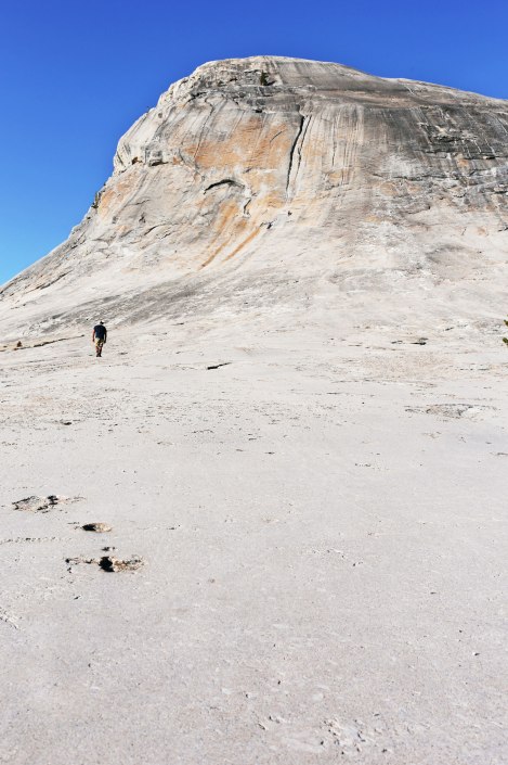 East Yosemite, Tioga Pass, Yosemite, WildestCAroadtrip
