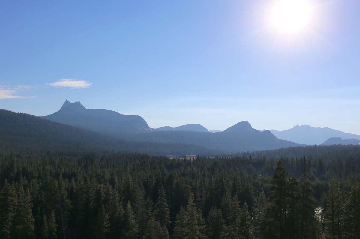 East Yosemite, Tioga Pass, Yosemite, WildestCAroadtrip