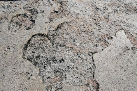 East Yosemite, Tioga Pass, Yosemite, WildestCAroadtrip