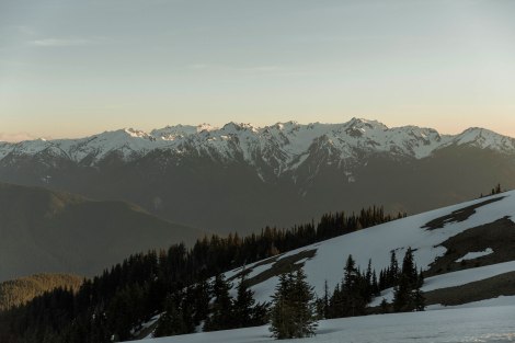 #OfWildestLove, Hurricane Ridge, Lake Crescent, Olympic National Park elopement