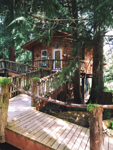 OfWildestLove, campground elopement, olympic national park, lake crescent