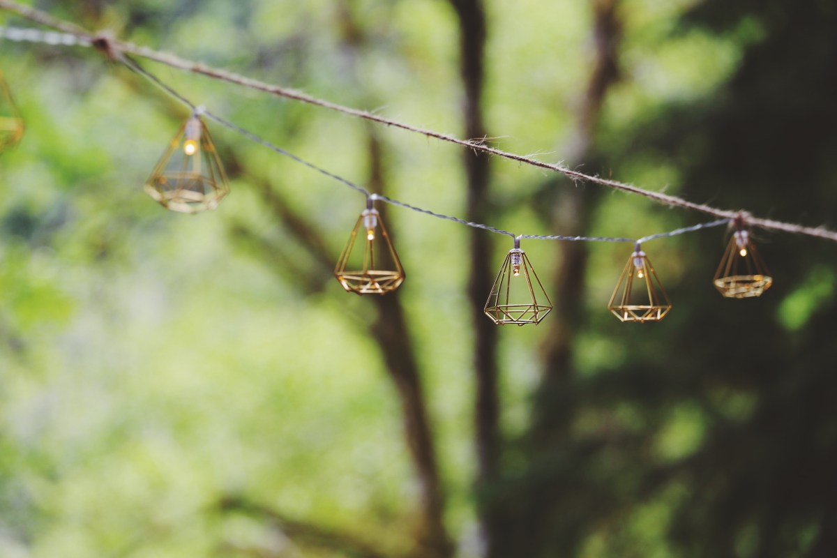 OfWildestLove, campground elopement, olympic national park, lake crescent