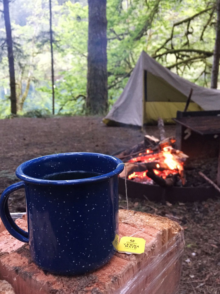 OfWildestLove, campground elopement, olympic national park, lake crescent