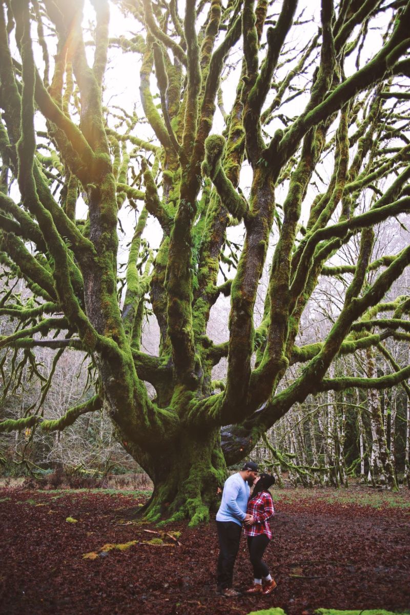 #OfWildestHeart, #OfWildestLove, Baby Bump, Lake Crescent, PNW