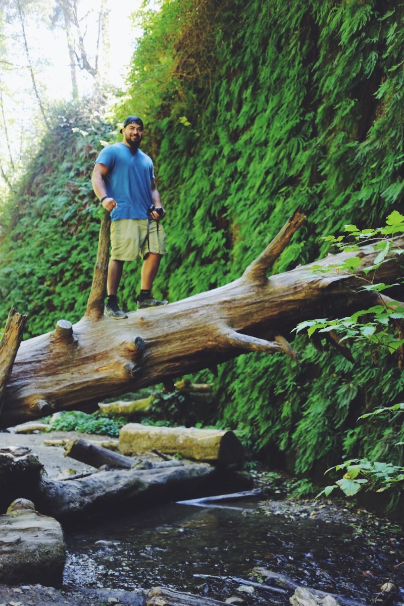 Redwoods National Park, coastal redwoods, #WildestCAroadtrip, USA summer road trip, Fern Canyon