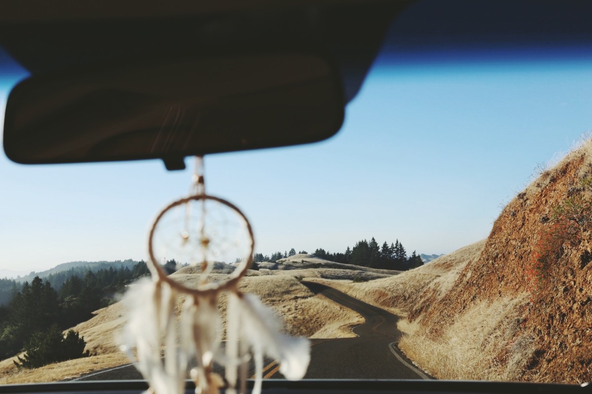 CA Coastal Highway Roadtrip, CA Road trip, PNW, #WildestCAroadtrip, Mount Tamalpais