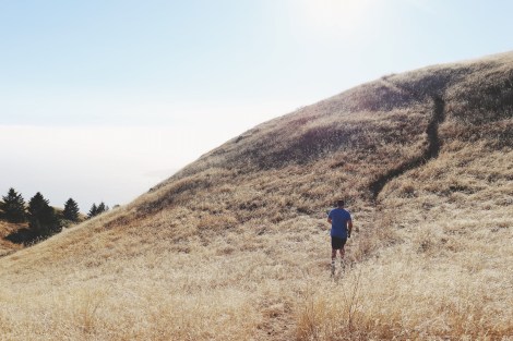 CA Coastal Highway Roadtrip, CA Road trip, PNW, #WildestCAroadtrip, Mount Tamalpais