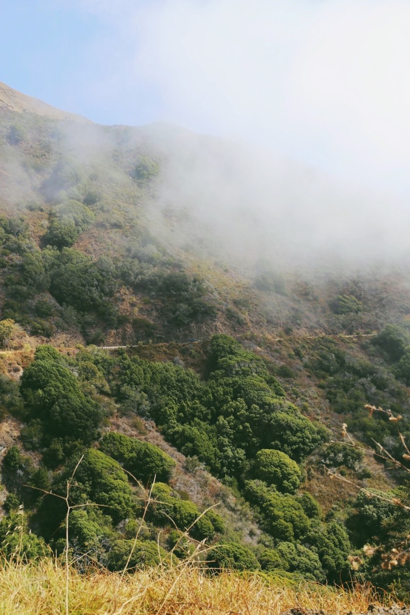 CA Coastal Highway Roadtrip, Big Sur, CA Road trip, PNW, #WildestCAroadtrip