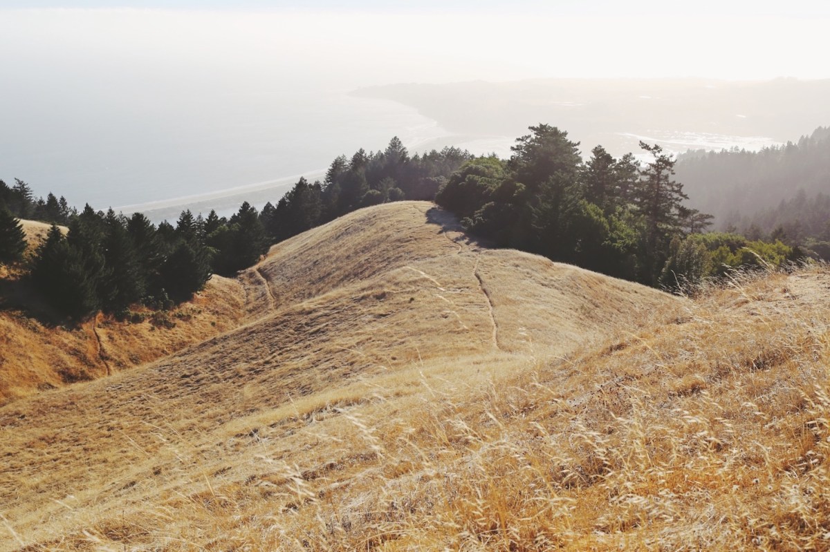 CA Coastal Highway Roadtrip, CA Road trip, PNW, #WildestCAroadtrip, Mount Tamalpais