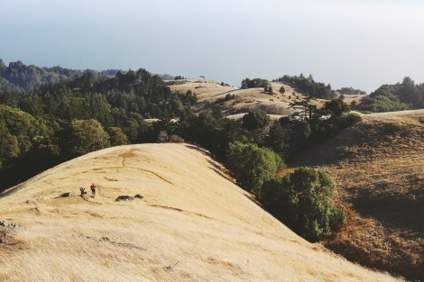 CA Coastal Highway Roadtrip, CA Road trip, PNW, #WildestCAroadtrip, Mount Tamalpais