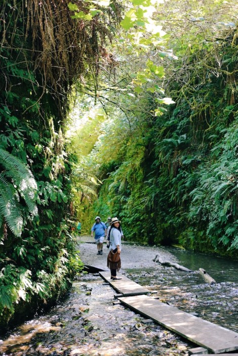 https://ofwildestheart.com/2014/09/04/when-wanderlust-strikes-pt-1-oneonta-gorge-oregon/