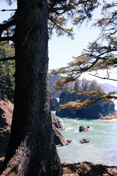 Samuel H. Boardman State Scenic Corridor, Oregon coast, Secret Beach, summer road trip