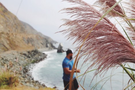 CA Coastal Highway Roadtrip, Big Sur, CA Road trip, PNW, #WildestCAroadtrip