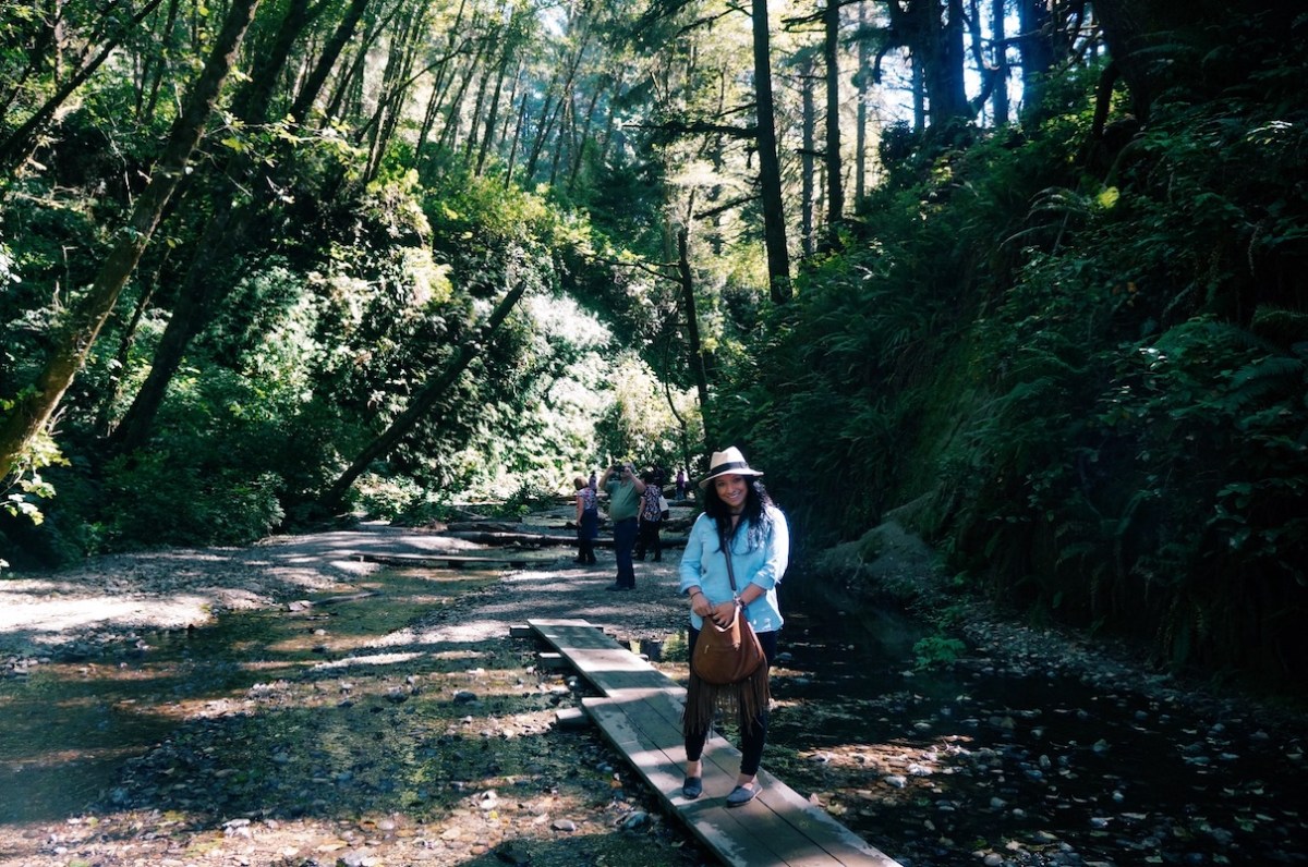 Redwoods National Park, coastal redwoods, #WildestCAroadtrip, USA summer road trip, Fern Canyon