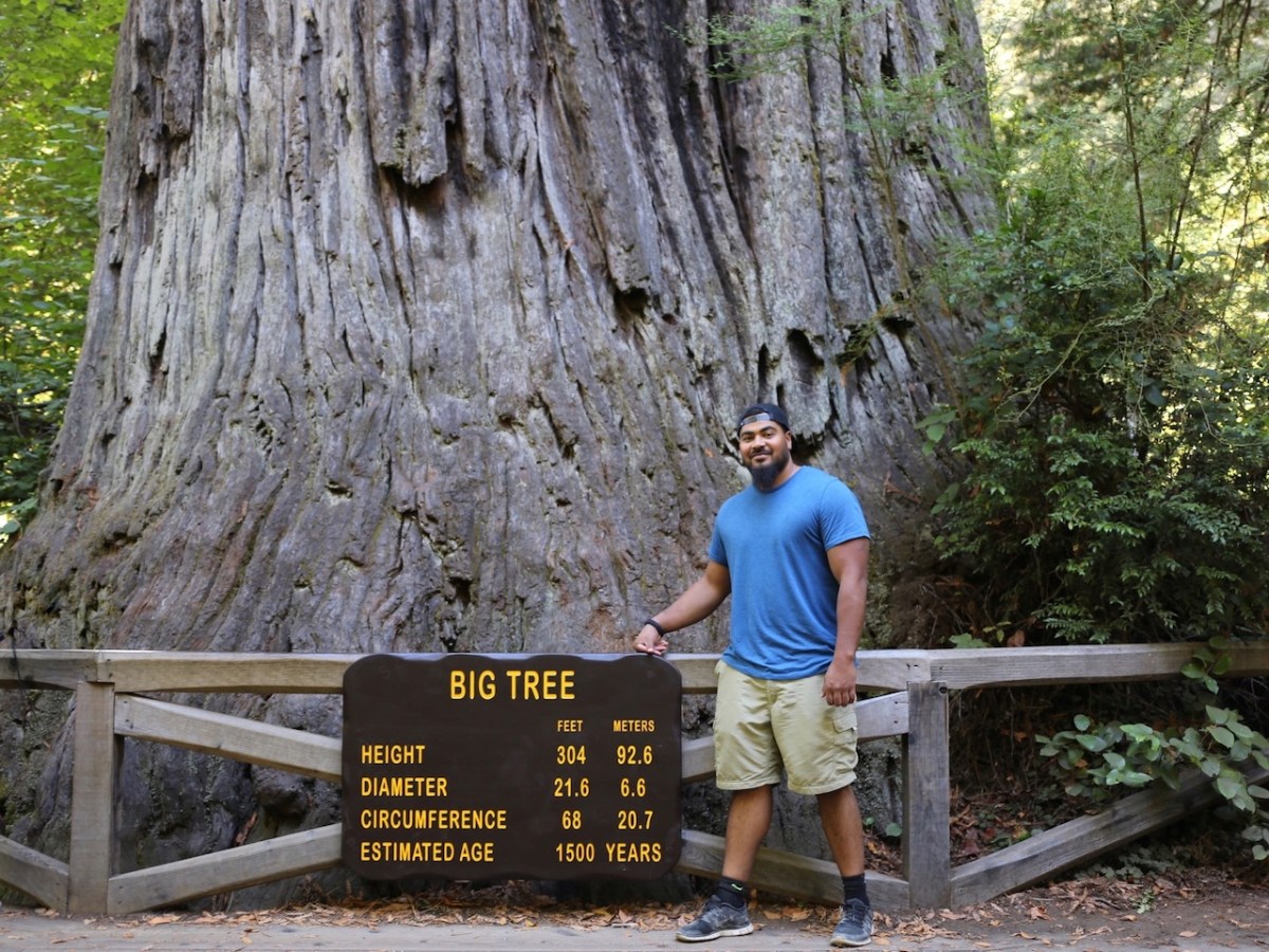 Redwoods National Park, coastal redwoods, #WildestCAroadtrip, USA summer road trip