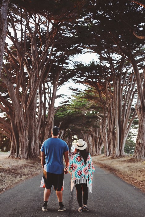 CA Coastal Highway Roadtrip, CA Road trip, PNW, #WildestCAroadtrip, Cypress Tree Tunnel, Point Reyes