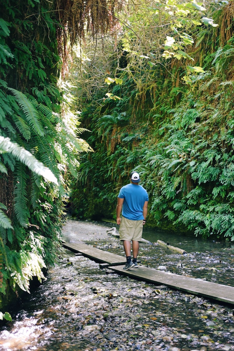 Redwoods National Park, coastal redwoods, #WildestCAroadtrip, USA summer road trip, fern canyon