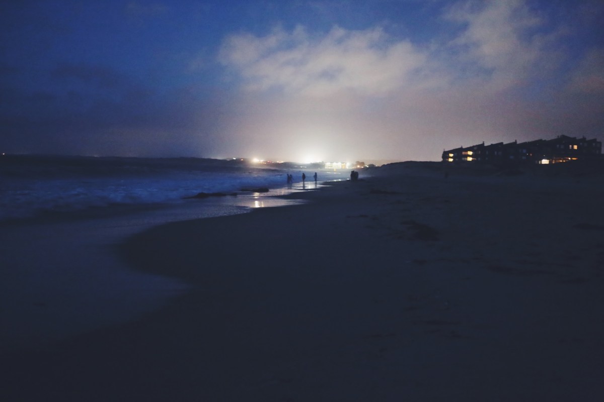 CA Coastal Highway Roadtrip, Big Sur, CA Road trip, PNW, #WildestCAroadtrip