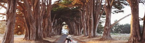 CA Coastal Highway Roadtrip, CA Road trip, PNW, #WildestCAroadtrip, Cypress Tree Tunnel, Point Reyes