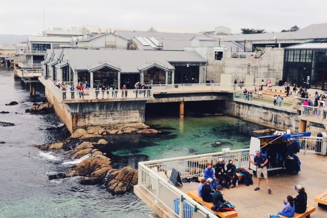 CA Coastal Highway Roadtrip, CA Road trip, PNW, #WildestCAroadtrip, Monterey Bay Aquarium