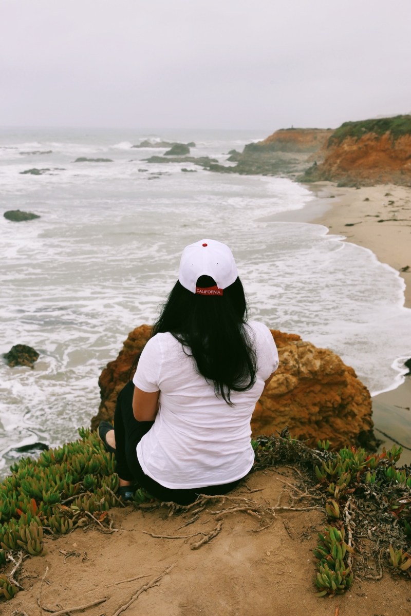 CA Coastal Highway Roadtrip, CA Road trip, PNW, #WildestCAroadtrip, Monterey Bay Aquarium