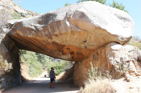 Sequoia National Park, CA Road trip, PNW
