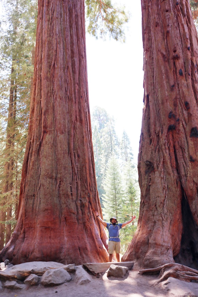 Sequoia National Park, CA Road trip, PNW