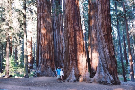 Sequoia National Park, CA Road trip, PNW