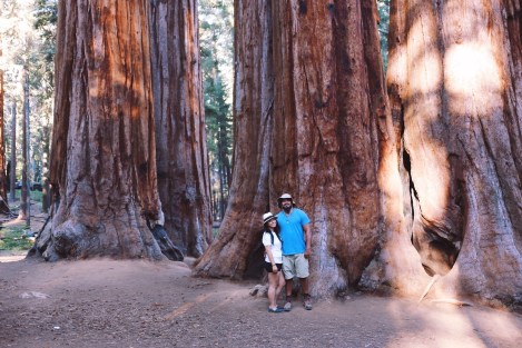 Sequoia National Park, CA Road trip, PNW