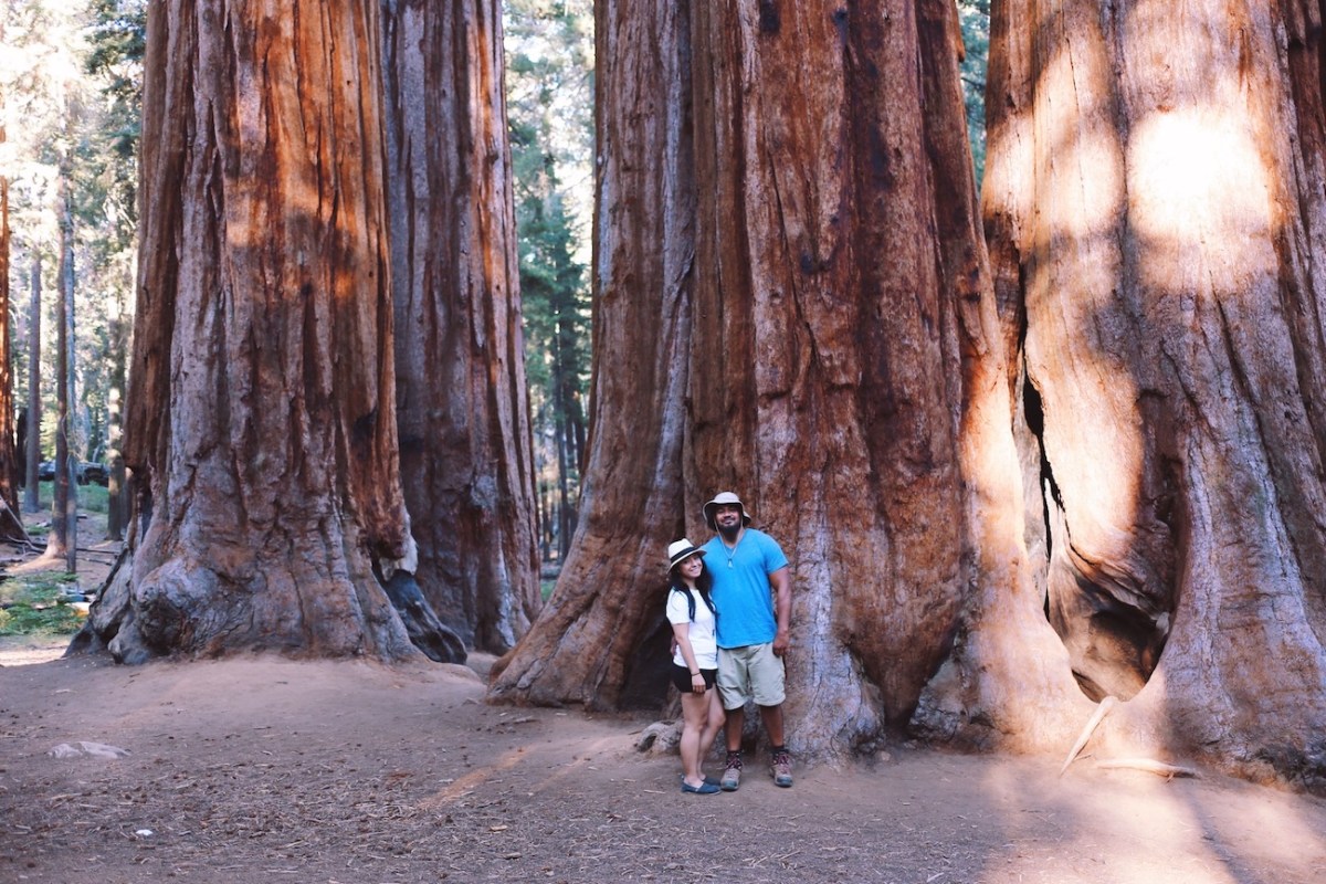 Sequoia National Park, CA Road trip, PNW
