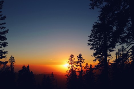 Sequoia National Park, CA Road trip, PNW