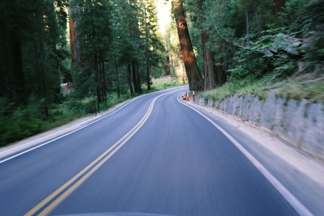 Sequoia National Park, CA Road trip, PNW