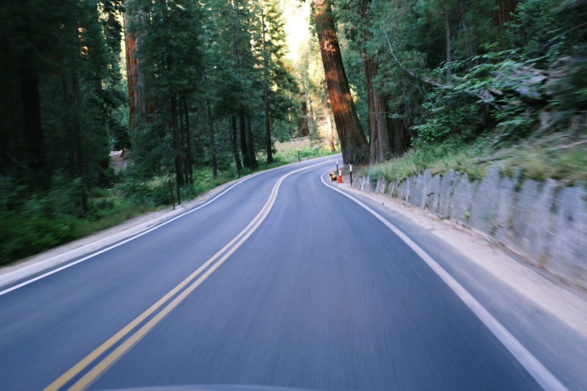 Sequoia National Park, CA Road trip, PNW