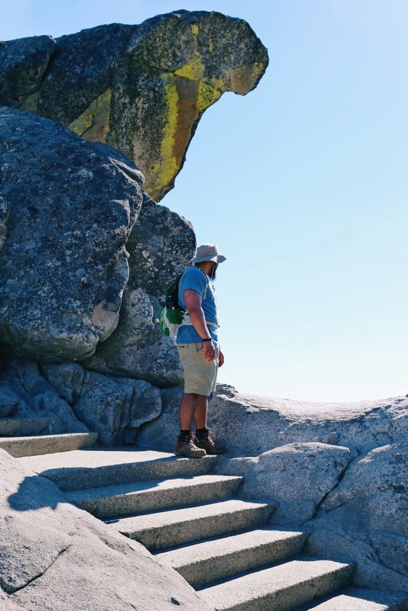 Sequoia National Park, CA Road trip, PNW