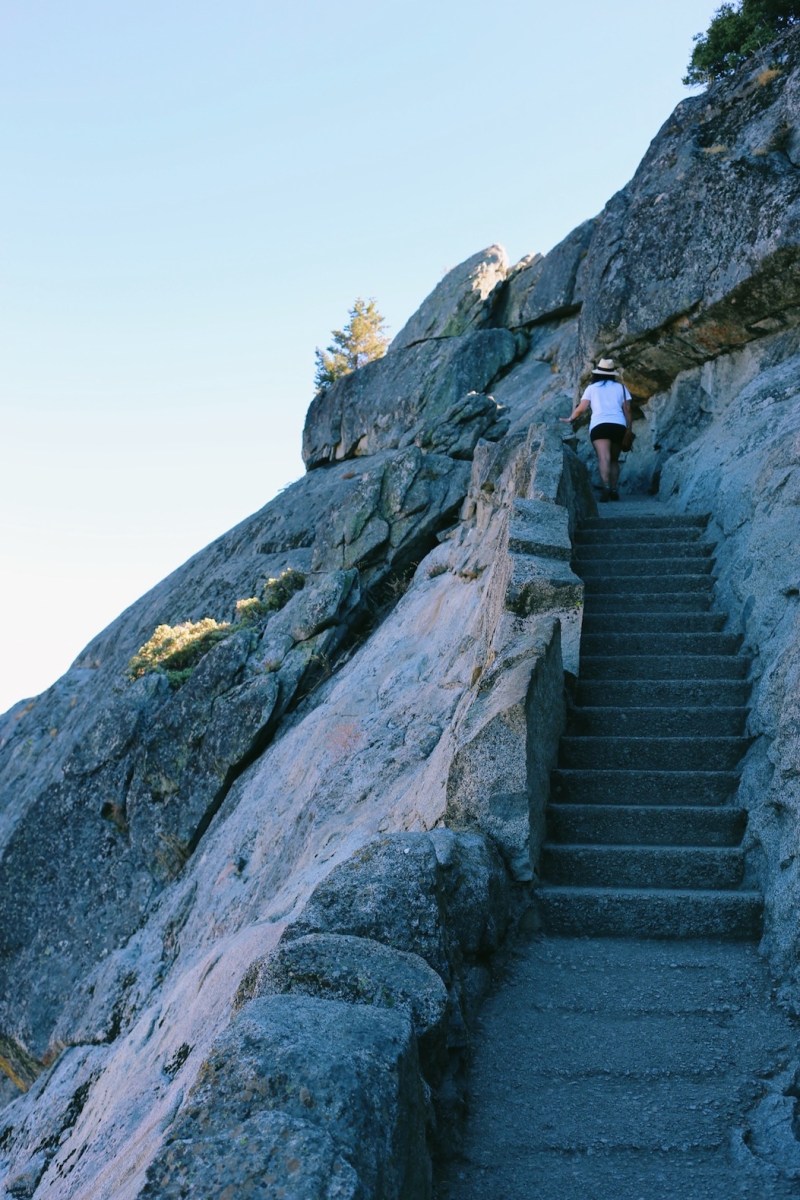 Sequoia National Park, CA Road trip, PNW