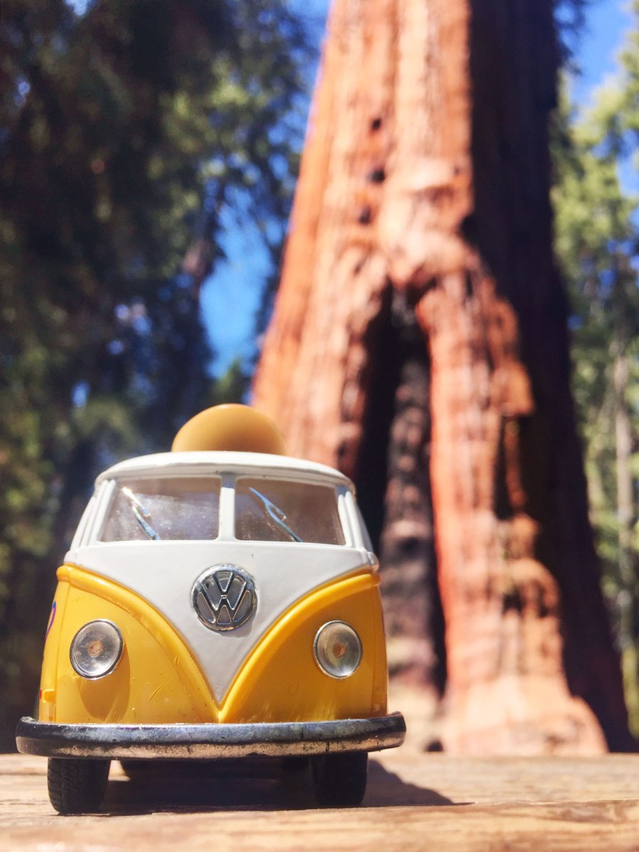 Sequoia National Park, CA Road trip, PNW, #OfWildestVan